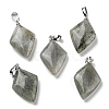 Natural Labradorite  Pendants G-C066-03B-1