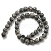 Natural Map Stone/Picasso Stone/Picasso Jasper Beads Strands G-C079-B05-03-3