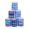 6Rolls 6 Styles Segment Dyed Polyester Thread NWIR-TA0001-47C-1