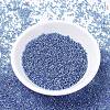 MIYUKI Delica Beads X-SEED-J020-DB1210-2