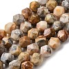 Natural Crazy Agate Beads Strands G-Z119-A13-03-2