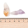 Nuggets Raw Natural Quartz Crystal & Amethyst & Yellow Quartz Collections AJEW-Q152-05-5