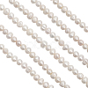 1 Strand Natural Cultured Freshwater Pearl Beads Strands PEAR-CA0001-15A-2