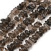 Natural Smoky Quartz Beads Strands G-P622-A01-02-2