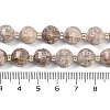 Natural Conch Fossil Beads Strands G-G182-B11-05-5