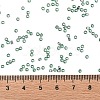 TOHO 11/0 Round Beads X-SEED-TR11-2202-4