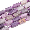Natural Lepidolite/Purple Mica Stone Beads Strands G-A314-A03-01-2