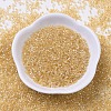 MIYUKI Delica Beads SEED-MY11-DB0100-2
