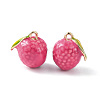 Brass Enamel Charms KK-G462-35LG-1