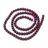 Mozambique Import Grade AA Garnet Round Beads Strands G-E300-AA-5mm-3
