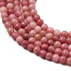 Natural Rhodonite Beads Strands G-G0005-B01-4