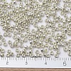 MIYUKI Round Rocailles Beads X-SEED-G007-RR0181-2