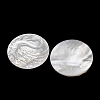 Natural White Shell Carved Cabochons SHEL-G024-03C-2