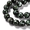 Natural Seraphinite Beads Strands G-E557-22B-2