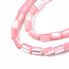 Natural Trochid Shell/Trochus Shell Beads Strands SHEL-N003-26-B05-3