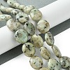 Natural Sesame Jasper Beads Strands G-K365-B16-03-2