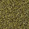 MIYUKI Delica Beads SEED-MY11-DB2164-3