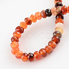 Dyed Natural Carnelian Stone Bead Strands G-R186-08-2