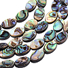 Natural Abalone Shell/Paua Shell Beads SSHEL-BC0001-08-1