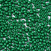 8/0 Glass Seed Beads SEED-S061-A-F280-3
