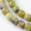 Natural Serpentine Beads Strands G-G767-04-6mm-3