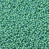 MIYUKI Delica Beads X-SEED-J020-DB2053-3