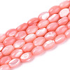 Natural Trochus Shell Beads Strands SHEL-K006-19-01E-1