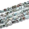 Natural Larimar Beads Strands G-G018-19-1
