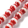 Handmade Nepalese Lampwork Beads LAMP-Z008-06E-2