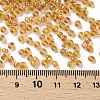 (Repacking Service Available) Round Glass Seed Beads SEED-C016-3mm-162C-3