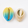 Spray Painted Natural Cowrie Shell Beads X-SHEL-S274-01C-2