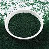 MIYUKI Round Rocailles Beads X-SEED-G009-RR0156F-4