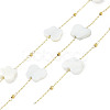 Butterfly Ion Plating(IP) 304 Stainless Steel Chains AJEW-Q150-03G-02-1