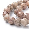Natural Maifanite/Maifan Stone Beads Strands G-P451-01A-B-3