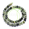 Natural Prehnite Beads Strands G-K224-03-8mm-2