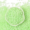 6/0 Luminous Glass Seed Beads SEED-NH0001-01K-3