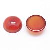 Natural Carnelian Cabochons G-P215-15-12mm-1