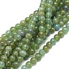 Natural Apatite Beads Strands G-F674-02-6mm-1