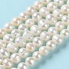 Natural Cultured Freshwater Pearl Beads Strands PEAR-E018-40-2