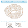 Beebeecraft 2 Strands Natural Cultured Freshwater Pearl Beads Strands PEAR-BBC0001-19-2