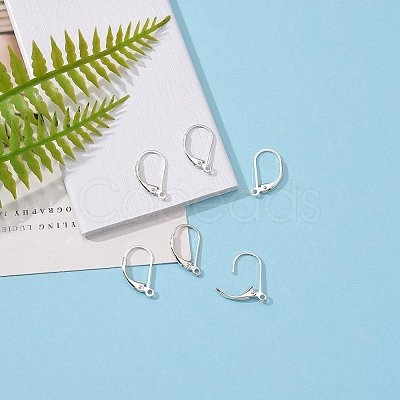 925 Sterling Silver Leverback Earring Findings LS-STER-T002-227S-1