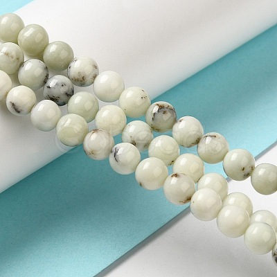 Natural Dendritic Jasper Beads Strands G-H298-A15-03-1