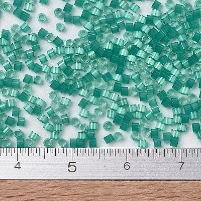 MIYUKI Delica Beads X-SEED-J020-DB1813-1