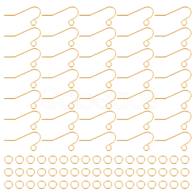 60Pcs 304 Stainless Steel Earring Hooks DIY-DC0001-53-1