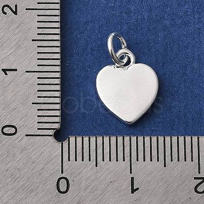Rack Plating Brass Charms KK-F811-03S-1