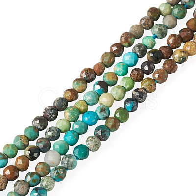 1 Strand Natural Turquoise Beads Strands G-TA0003-46-1