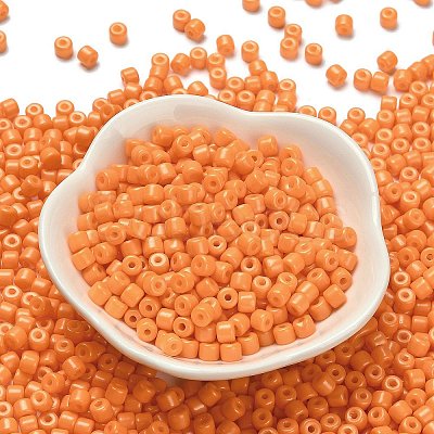 Baking Paint Pearlized Glass Seed Beads SEED-C001-04A-19-1