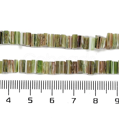 Handmade Lampwork Beads Strands LAMP-Q037-02B-15-1