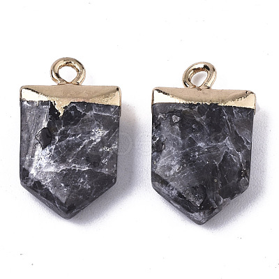 Natural Larvikite Pointed Pendants X-G-N326-34B-1