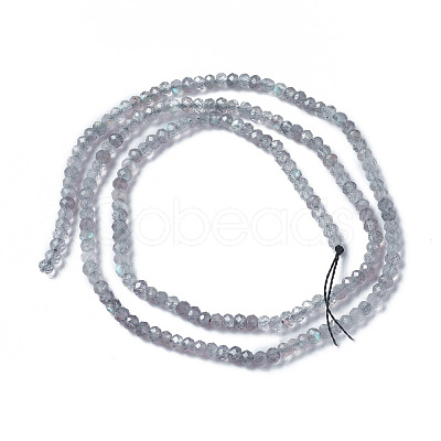 Natural Labradorite Beads Strands G-F596-07-1
